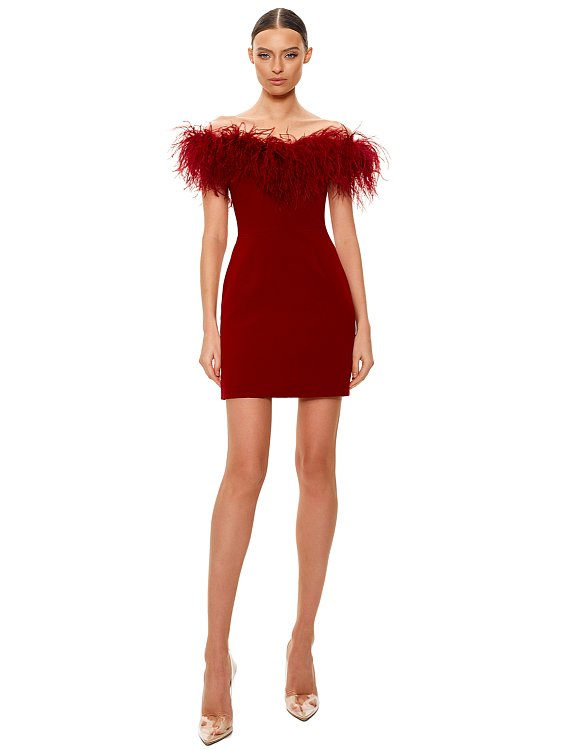 BURGUNDI DRESS WITH FEATHER,  Burgundy